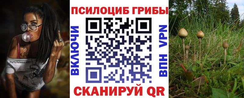 Купить закладки  Каменск-Шахтинский  Псилоцибиновые грибы прущие грибы 